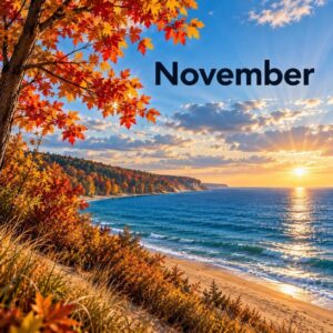 Picture of a Michigan Beach in November.